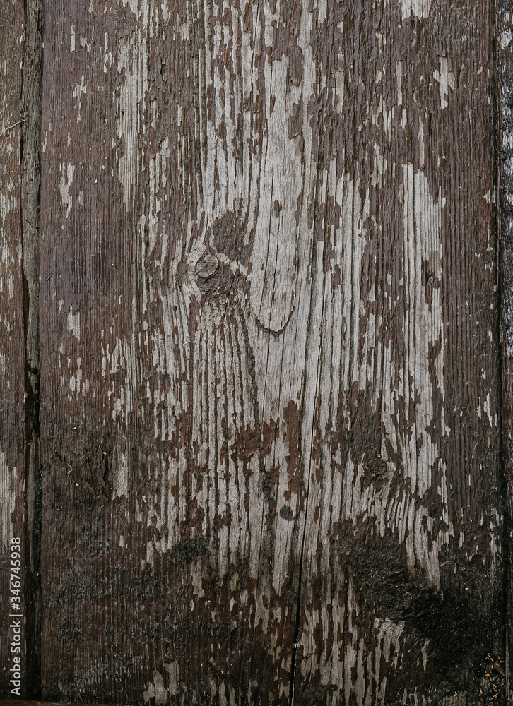 Obraz premium wood texture natural, texture background surface with old natural pattern, Natural oak texture with beautiful wooden grain, Walnut wood, wooden planks background, bark wood.