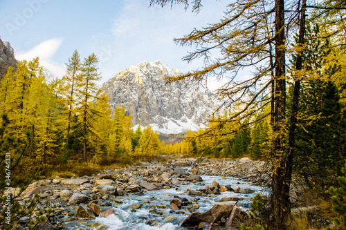 Autumn landscape with the Aktru river and Karatash peak. Altai mountains in cloudy weather. Siberia. Russia