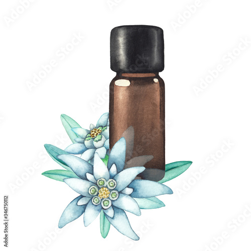 Watercolor essential oil bottle decorated with edelweiss leaves and flowers