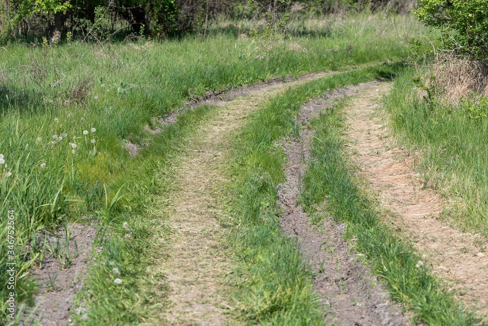 Dirt road through the forest Dirt road through the forest