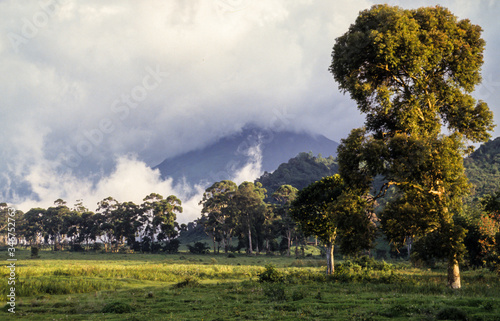 Parc National des Virunga, République démocratique du Congo photo