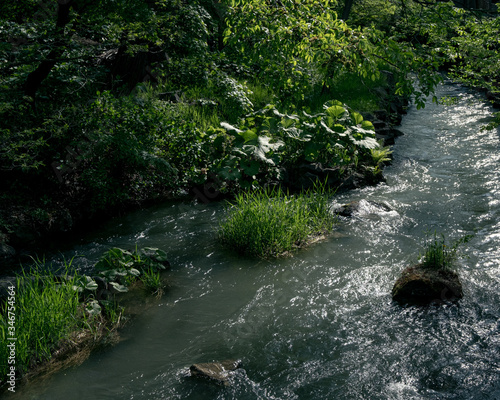 札幌市中島公園の水辺（Waterside of Nakajima Park in Sapporo） photo