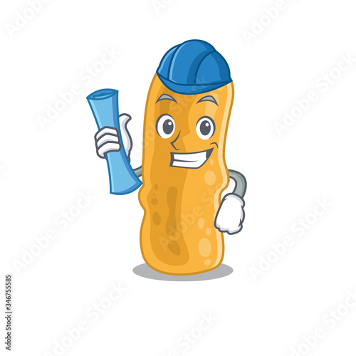 Cartoon character of shigella flexneri brainy Architect with blue prints and blue helmet photo