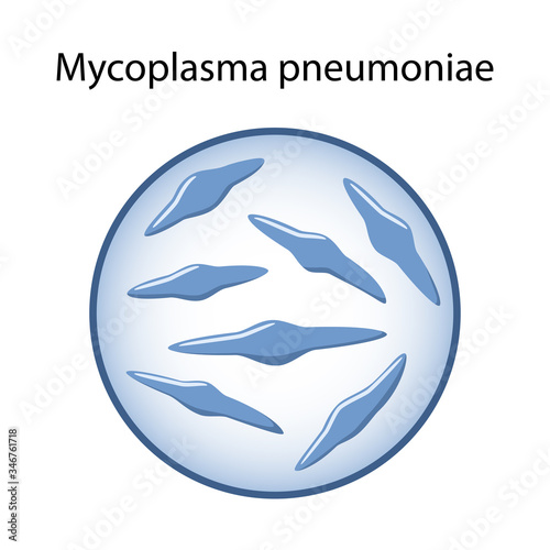 Mycoplasma pneumonia. Bacteria in a magnifying glass. Causative agent of Bronchitis and Atypical Pneumonia. Microbiology. Vector illustration in flat style isolated over white background