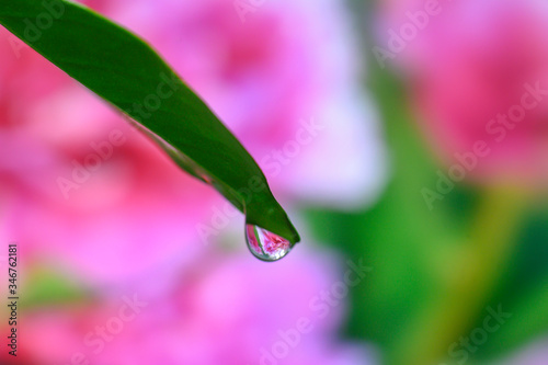 Close-up of water droplets on abstract background