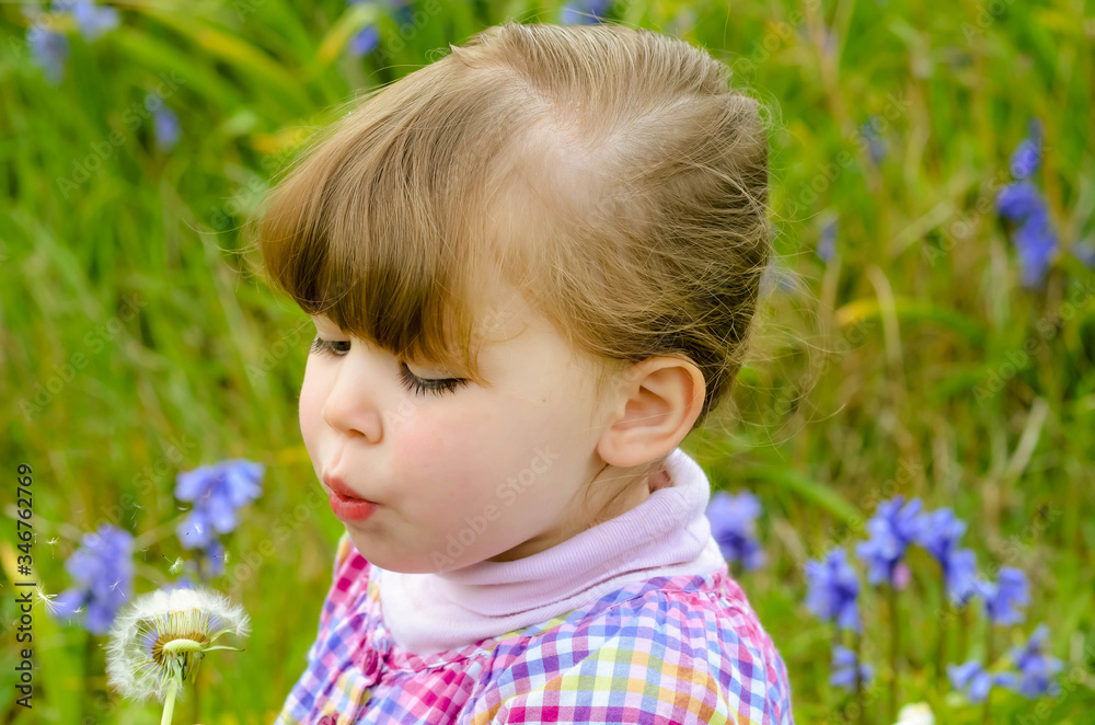 little girl blowing on a dandelion while making a wish little girl blowing on a dandelion while making a wish