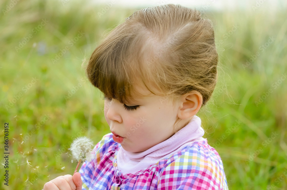 little girl blowing on a dandelion while making a wish little girl blowing on a dandelion while making a wish
