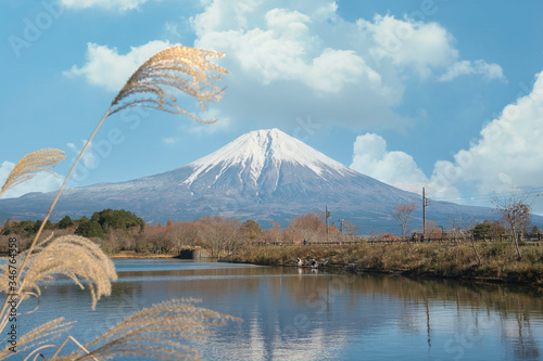 Mount Fuji on a natural background