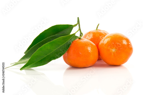 Ripe tangerines with green leaves