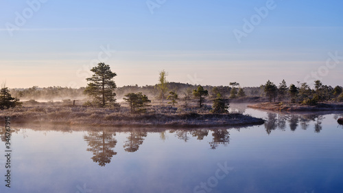 Misty Autumn morning in a marsh lake and pine trees near the lake © Agris