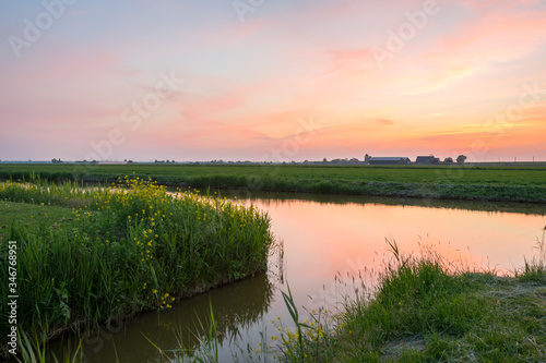 Clouds are colored pink and orange after the sun has set over the Dutch countryside. Tranquil scene with yellow wild flowers and reflections of the clouds in the calm water. © Menyhert