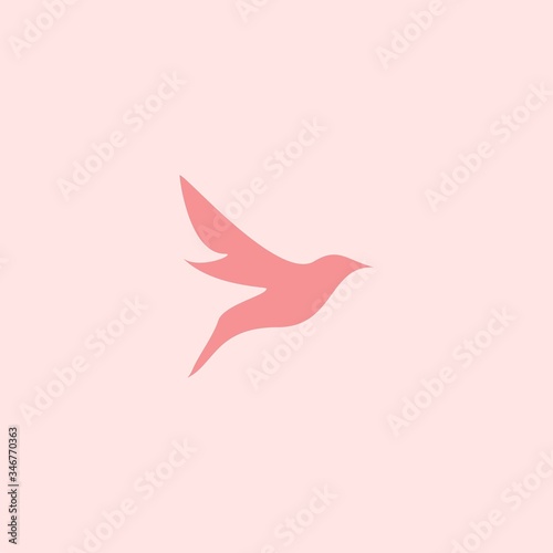 Premium Bird logo with modern concept