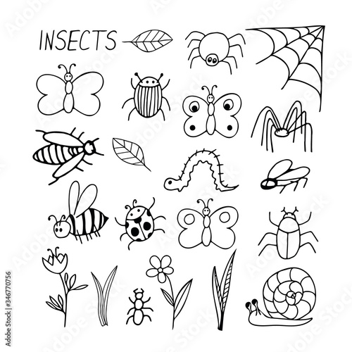 insects set hand drawn elements in doodle style. vector scandinavian butterfly, caterpillar, beetle, spider, bee, wasp, flower, grass, cobweb, fly, ladybug, ant, snail