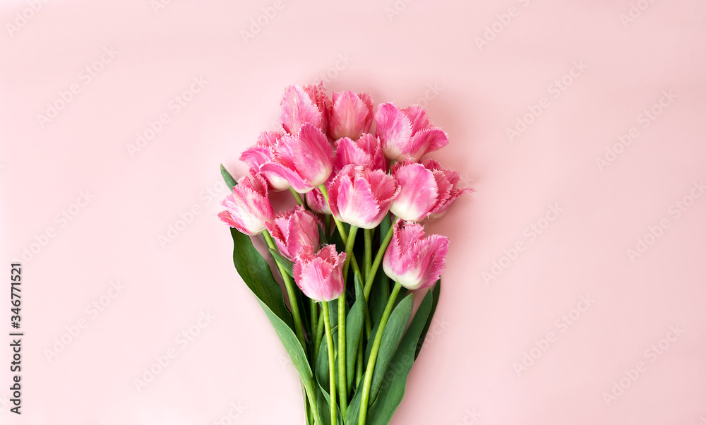 Closeup at beautiful bouquet of pink tulips at the centre of pink background, copy space, summer and mothers day concept. Closeup at beautiful bouquet of pink tulips at the centre of pink background, copy space, summer and mothers day concept.