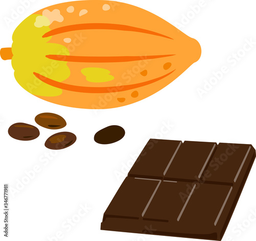 カカオの実とチョコレートバー