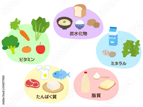 栄養素のグループ別にわけて見出しをつけた食材のイラスト