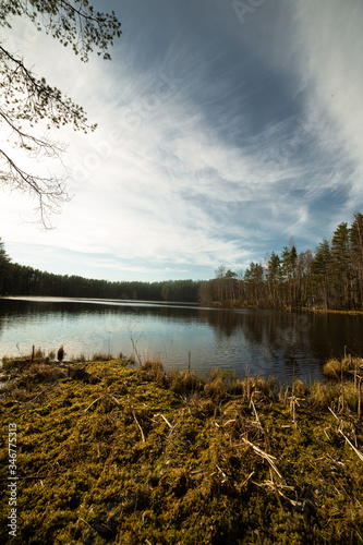 Obraz na płótnie Pine forest and lake in Russia w salonie