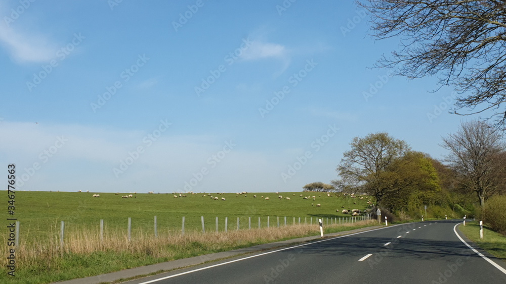 Fototapeta premium Germany Nature