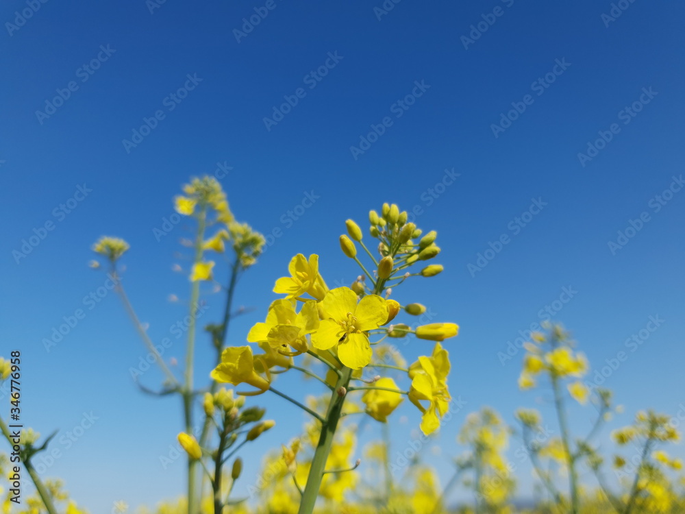 Germany Nature Germany Nature