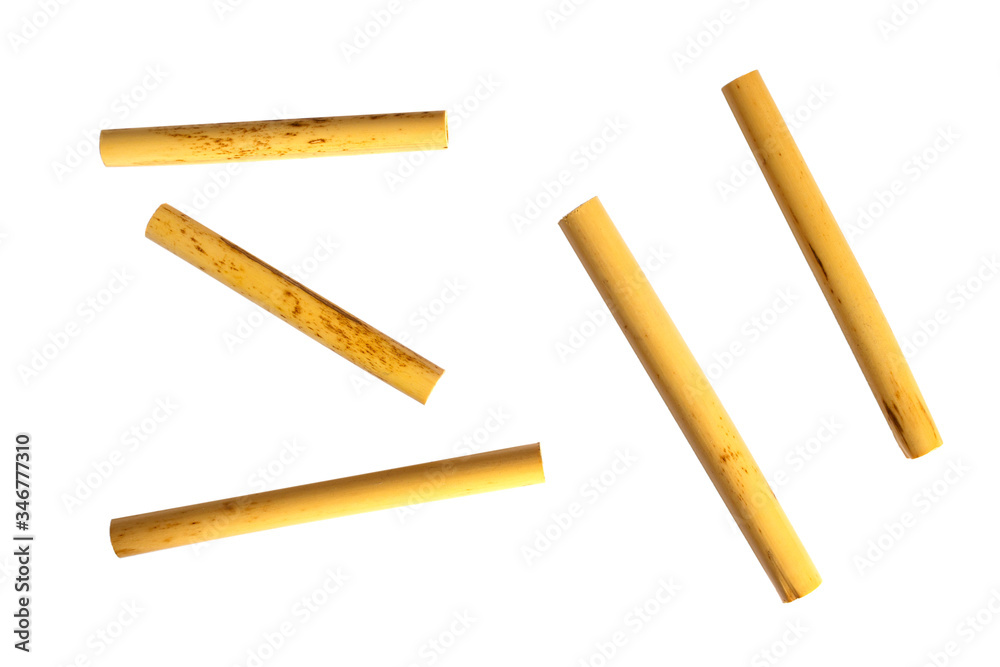 Canes for oboe reed isolated on white background Canes for oboe reed isolated on white background
