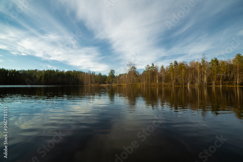 Obraz na płótnie Pine forest landscape in Russia w salonie