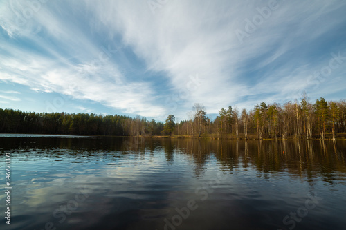 Obraz na płótnie Pine forest landscape in Russia w salonie