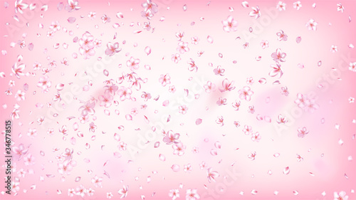 Nice Sakura Blossom Isolated Vector. Pastel Flying 3d Petals Wedding Design. Japanese Funky Flowers Illustration. Valentine, Mother's Day Spring Nice Sakura Blossom Isolated on Rose