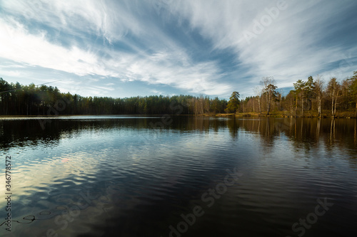 Obraz na płótnie Pine forest landscape in Russia w salonie
