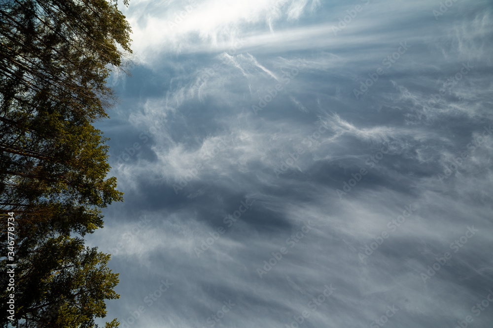 clouds landscape at summer day