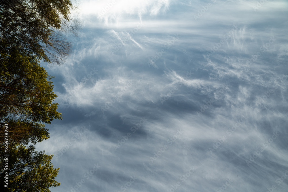 clouds landscape at summer day
