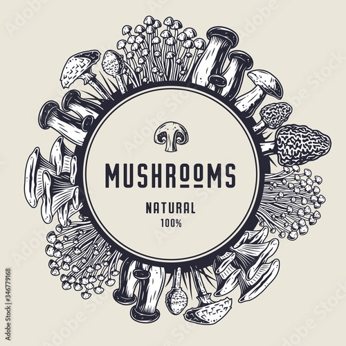 Autumn forest mushroom picking, vegan menu frame