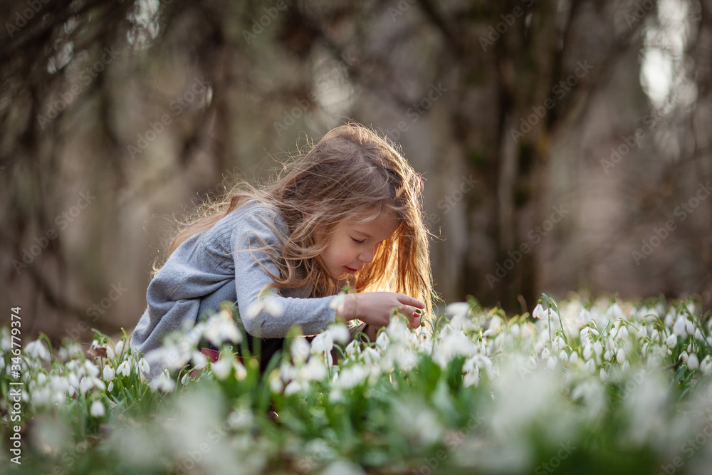Little pretty girl in a clearing of snowdrops. A child walks in the spring forest. Little pretty girl in a clearing of snowdrops. A child walks in the spring forest.