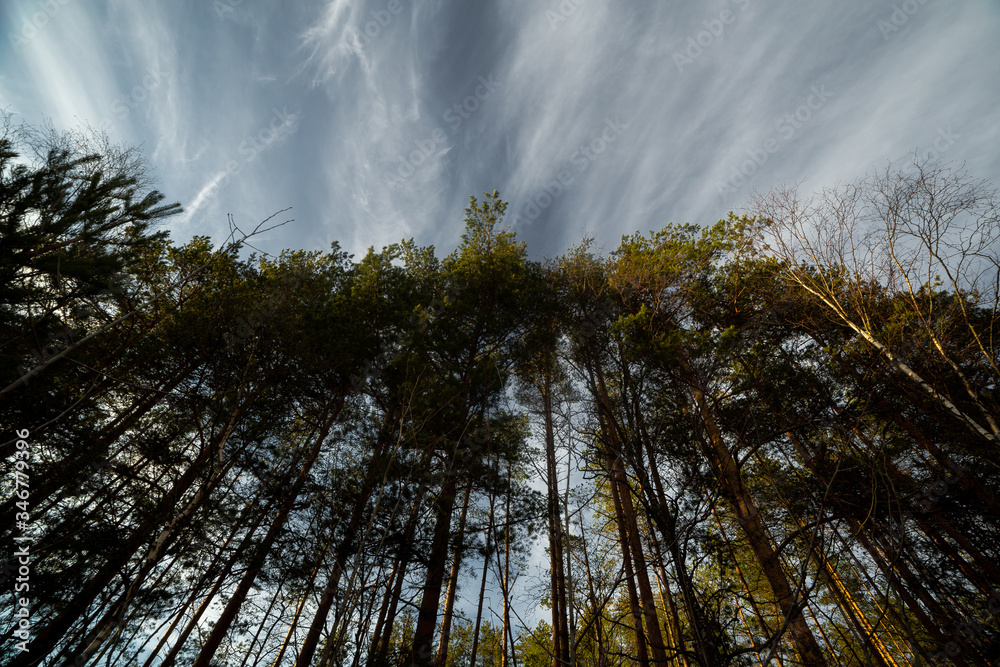 clouds landscape at summer day