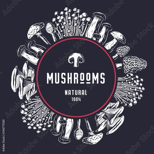 Autumn forest mushroom picking, vegan menu frame