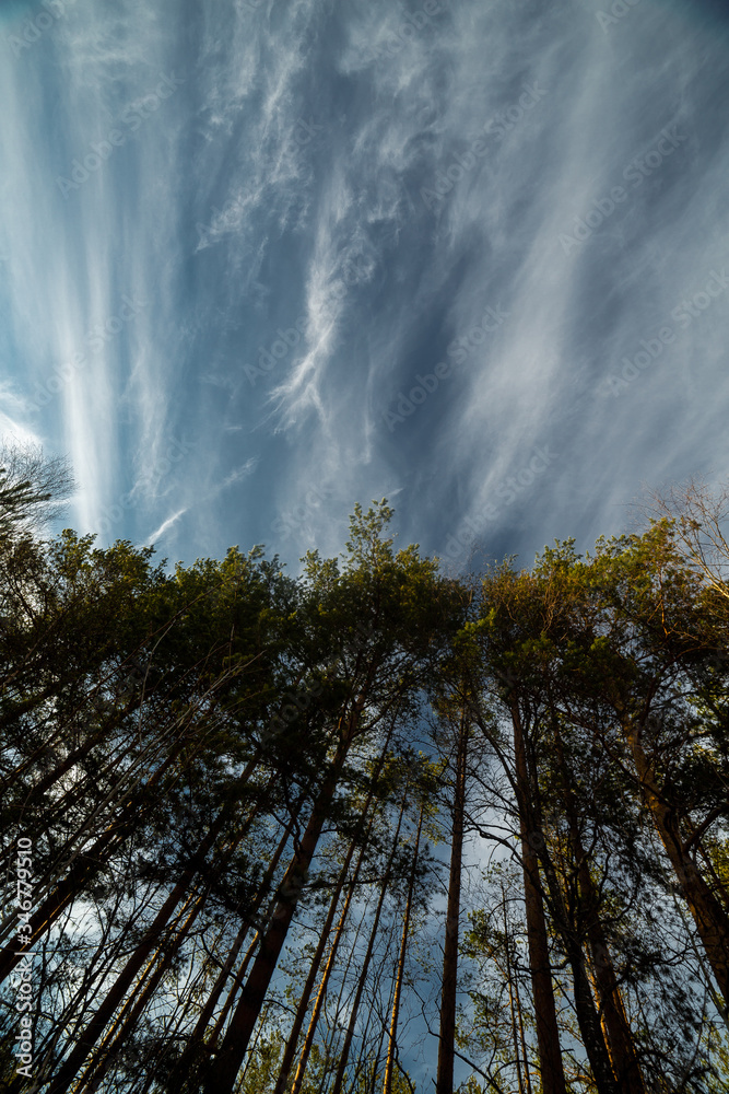 clouds landscape at summer day