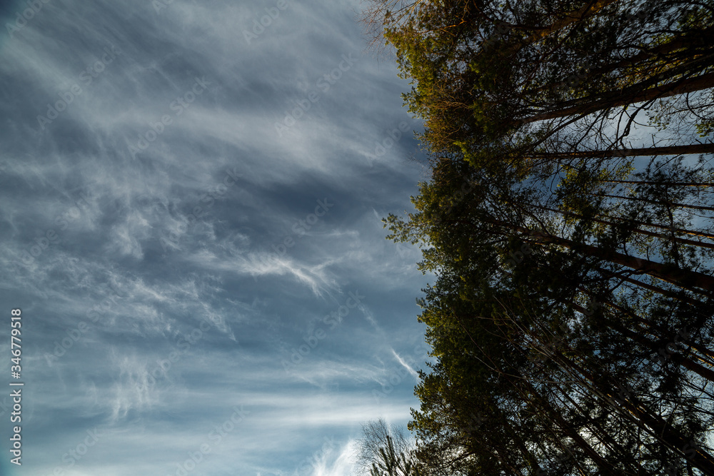 clouds landscape at summer day