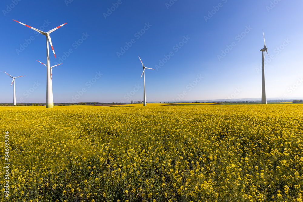 Windkraftanlagen Windräder auf einem Rapsfeld im Frühling mit Aussicht Windkraftanlagen Windräder auf einem Rapsfeld im Frühling mit Aussicht