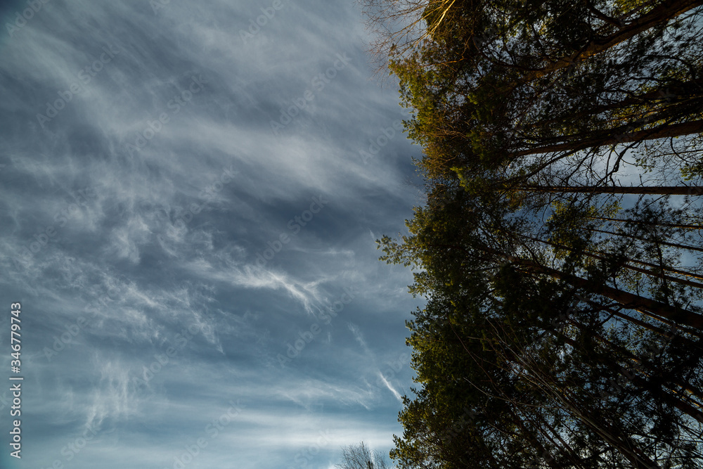 clouds landscape at summer day