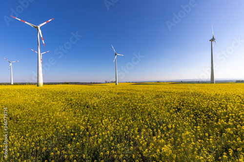Windkraftanlagen Windräder auf einem Rapsfeld im Frühling mit Aussicht 
