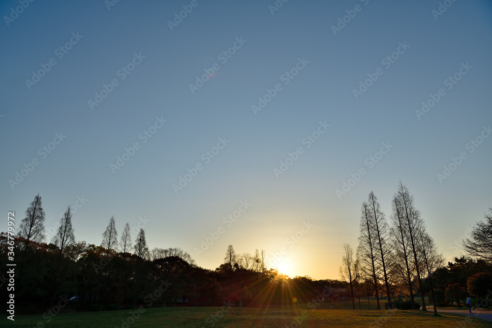 Fototapeta premium 夜明け