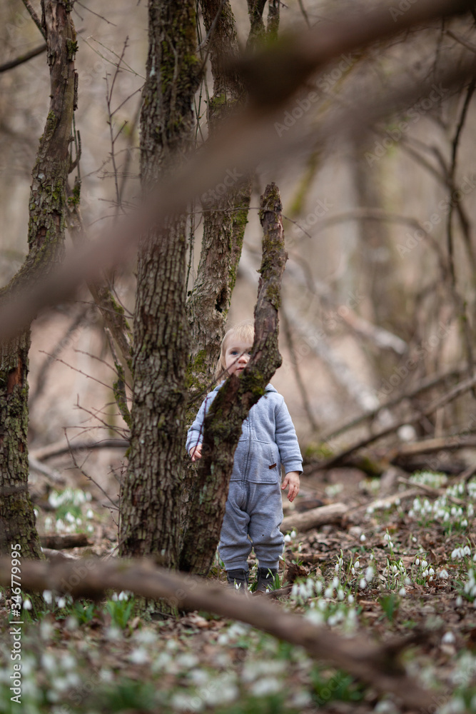 Little pretty girl in a clearing of snowdrops. A child walks in the spring forest. Kid hiding behind a tree