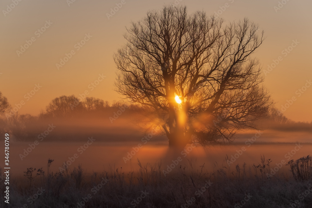 sunrise in the fog sunrise in the fog