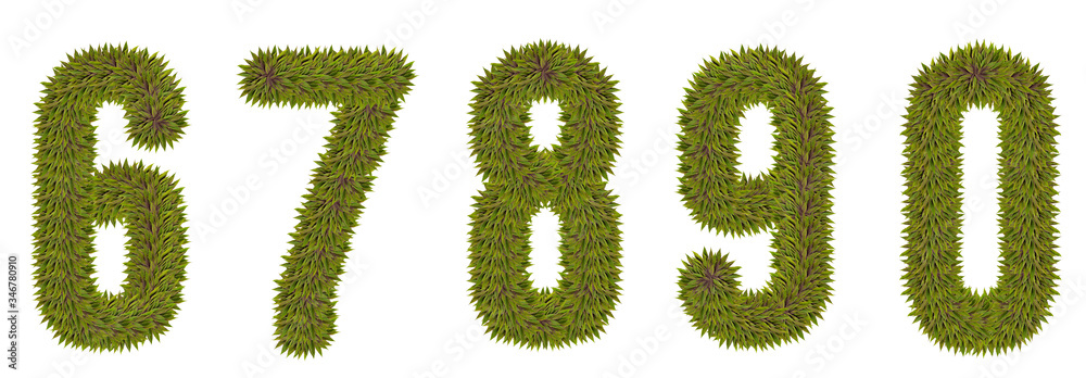 Numbers 6,7,8,9,0 made from natural leaves on a white isolated background. Natural font Numbers 6,7,8,9,0 made from natural leaves on a white isolated background. Natural font