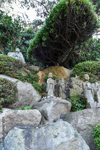 Buddhist statue peeking out of a bush. Haedong Yonggung Temple, in Gijang-gun, Busan, South Korea photo