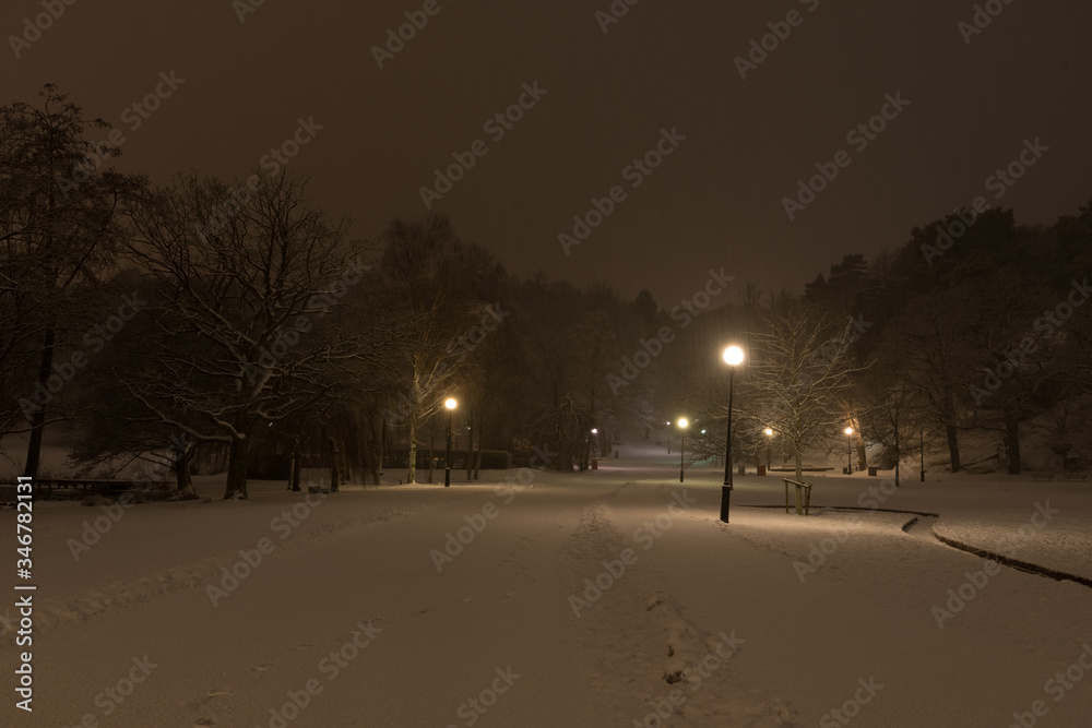 Dark night in a snowy park. Dim street lights.