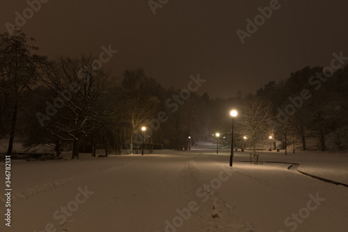 Dark night in a snowy park. Dim street lights.