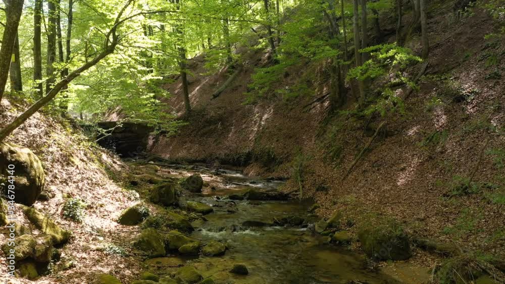 Filming the flow of mountain river, nature and greenery in the spring Filming the flow of mountain river, nature and greenery in the spring