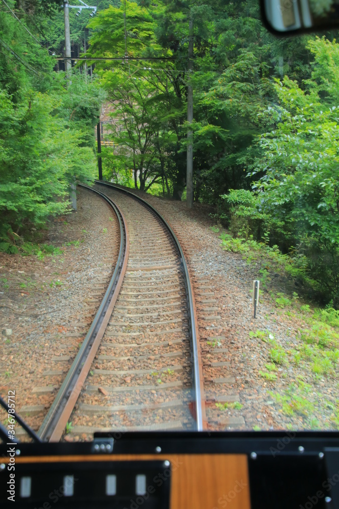 Fototapeta premium 緑のゆく道