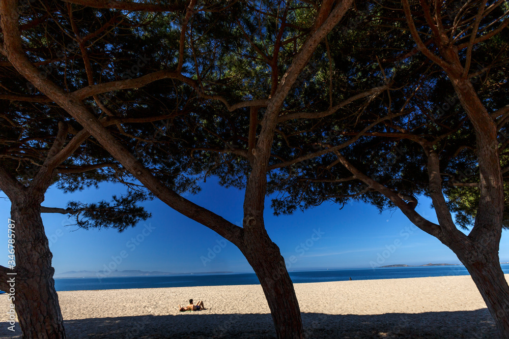 Bellissimo paesaggio di una spiaggia sul mare e in primo piano degli alberi che fanno da quinta