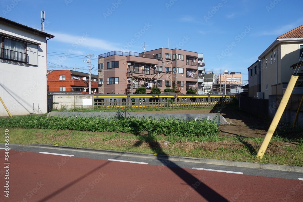 Naklejka premium 晴れた日の住宅街の畑